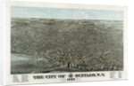 The city of Buffalo, N.Y. 1880 by Anonymous