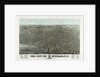 The city of Buffalo, N.Y. 1880 by Anonymous