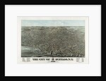 The city of Buffalo, N.Y. 1880 by Anonymous