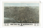 The city of Buffalo, N.Y. 1880 by Anonymous