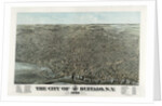 The city of Buffalo, N.Y. 1880 by Anonymous