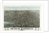 The city of Buffalo, N.Y. 1880 by Anonymous