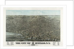 The city of Buffalo, N.Y. 1880 by Anonymous