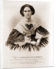 Mrs. Caroline Slemmer wife of the gallant Lieutenant Slemmer by Anonymous