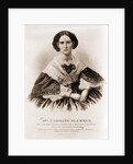 Mrs. Caroline Slemmer wife of the gallant Lieutenant Slemmer by Anonymous