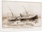 Loss of the U.S.M. steam ship Arctic: off Cape Race Wednesday September 27th 1854 by Anonymous