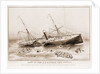 Loss of the U.S.M. steam ship Arctic: off Cape Race Wednesday September 27th 1854 by Anonymous