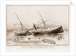 Loss of the U.S.M. steam ship Arctic: off Cape Race Wednesday September 27th 1854 by Anonymous