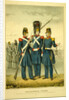 California guard by Anonymous