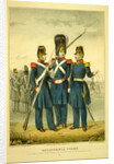 California guard by Anonymous