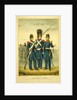 California guard by Anonymous