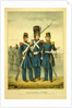 California guard by Anonymous