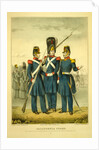 California guard by Anonymous