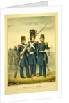 California guard by Anonymous