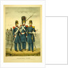 California guard by Anonymous