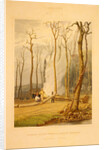 Spring--Burning fallen trees in a girdled clearing--Western scene by G. Harvey