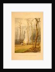 Spring--Burning fallen trees in a girdled clearing--Western scene by G. Harvey