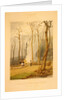 Spring--Burning fallen trees in a girdled clearing--Western scene by G. Harvey