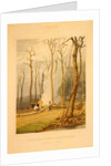 Spring--Burning fallen trees in a girdled clearing--Western scene by G. Harvey