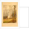 Spring--Burning fallen trees in a girdled clearing--Western scene by G. Harvey