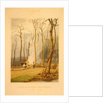 Spring--Burning fallen trees in a girdled clearing--Western scene by G. Harvey