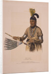 Naw-kaw, a Winnebago chief by Anonymous