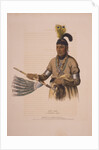 Naw-kaw, a Winnebago chief by Anonymous