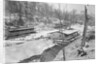 Scott's Run, West Virginia. The Patch by Lewis Hine