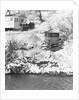 Scott's Run, West Virginia. Outdoor privy - Scene taken from the main highway by Lewis Hine