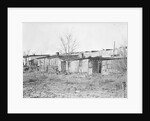 Lancaster, Pennsylvania - Housing. Barney Google Row by Lewis Hine