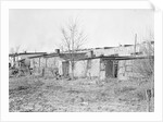 Lancaster, Pennsylvania - Housing. Barney Google Row by Lewis Hine