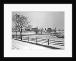 Lancaster, Pennsylvania - Housing. Adjoining farms on side road near Petersburg, 1936 by Lewis Hine