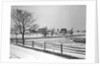 Lancaster, Pennsylvania - Housing. Adjoining farms on side road near Petersburg, 1936 by Lewis Hine