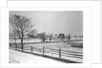 Lancaster, Pennsylvania - Housing. Adjoining farms on side road near Petersburg, 1936 by Lewis Hine