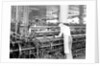 Philadelphia, Pennsylvania - Hosiery. Minnesac Mills. Man working over long row of machines, 1936 by Lewis Hine