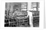 Philadelphia, Pennsylvania - Hosiery. Minnesac Mills. Man working over long row of machines, 1936 by Lewis Hine