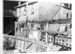 Paterson, New Jersey - Textiles. Rear tenement off Summer St. Former silk workers, March 1937 by Lewis Hine