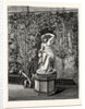 In the Winter Garden. Nymph at her Toilet, Haudmauer, Somerleyton by Anonymous
