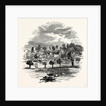 The Trent and Weston Cliff by Anonymous