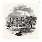 The Trent and Weston Cliff by Anonymous