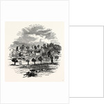 The Trent and Weston Cliff by Anonymous