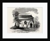 Trentham Church by Anonymous