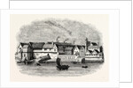 Wharf German Merchants Steel-yard Thames Street by Anonymous