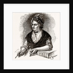 Mrs. Trimmer by Anonymous