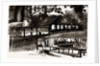 The Powder-mills, Hounslow by Anonymous