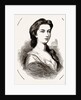 Lady Suffolk by Anonymous
