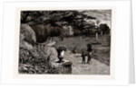 The Gardens of Orleans House, 1882 by Anonymous