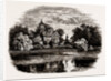 Pope's Villa by Anonymous