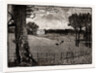 Wrotham Park by Anonymous