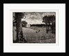 Wrotham Park by Anonymous